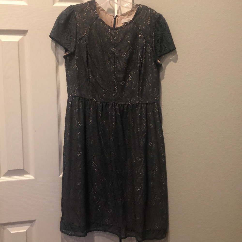 Ann Taylor Loft Dress for Winter ❄️ Season!!